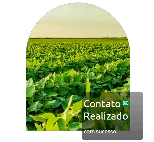 Envio realizado com sucesso.