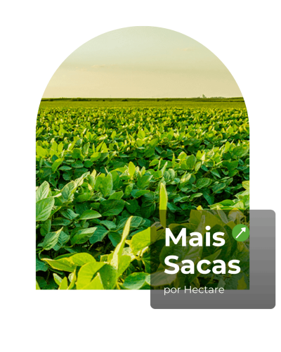 oceana-minerals-algen-nutricao-vegetal oceana-minerals-algen-nutricao-vegetal